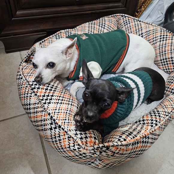 Meet your Seller Sandy 🐈⬛ - Picture 16 of 16